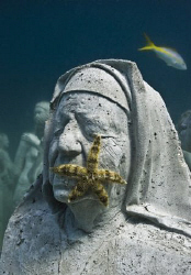 Sculpture from the MUSA collection. by Jason Decaires Taylor 